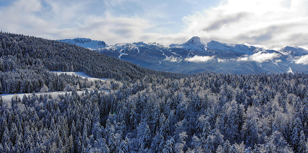 © C. Savary - Le massif offre une nature partout accessible, particulièrement appréciée cet hiver.