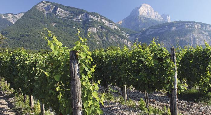 Les Lauréats 2018 des vins produits en Isère
