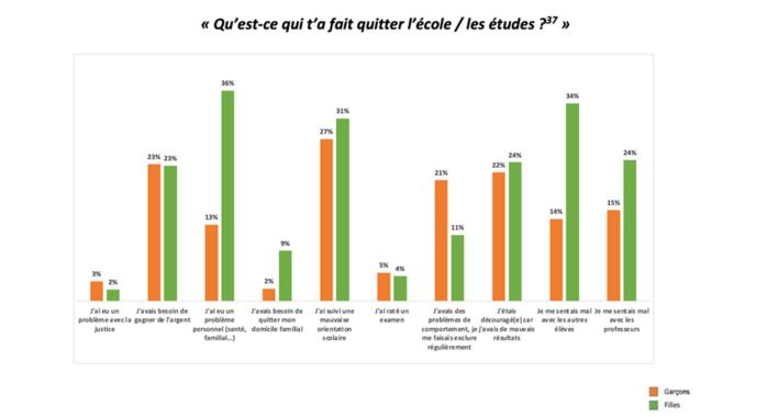 " Qu’est-ce qui t’a fait quitter l’école / les études ? "